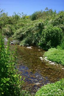 Torrente Minissale